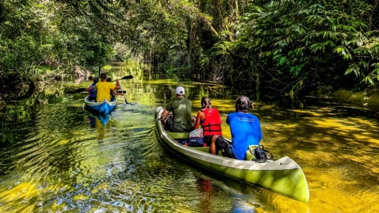 Canoagem no Rio Jaguareguava e Praia da Enseada